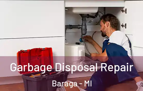  Garbage Disposal Repair Baraga - MI