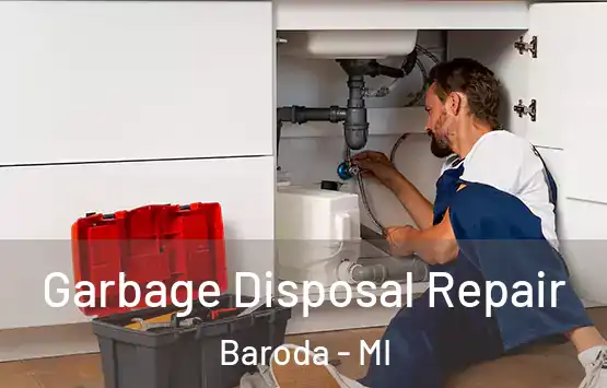  Garbage Disposal Repair Baroda - MI