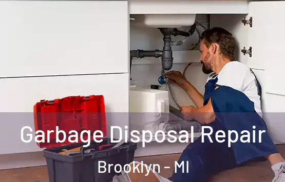  Garbage Disposal Repair Brooklyn - MI