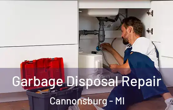  Garbage Disposal Repair Cannonsburg - MI