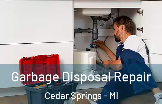 Garbage Disposal Repair Cedar Springs - MI