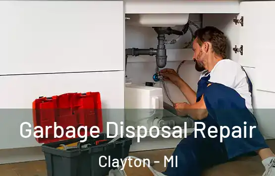  Garbage Disposal Repair Clayton - MI
