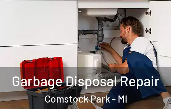  Garbage Disposal Repair Comstock Park - MI