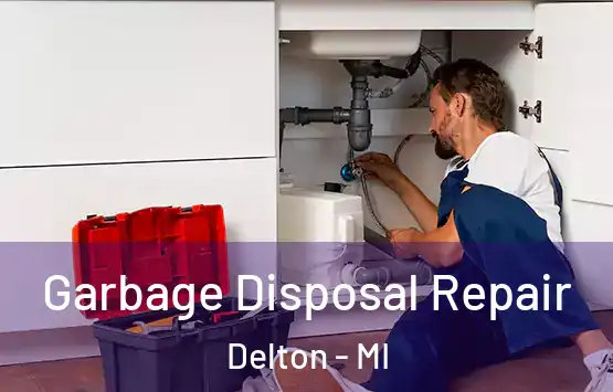  Garbage Disposal Repair Delton - MI