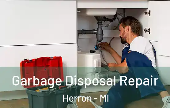  Garbage Disposal Repair Herron - MI