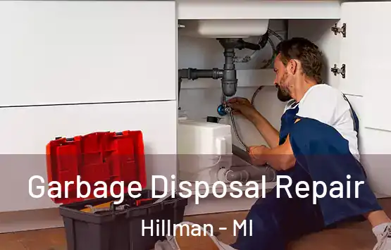  Garbage Disposal Repair Hillman - MI