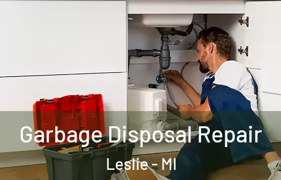  Garbage Disposal Repair Leslie - MI