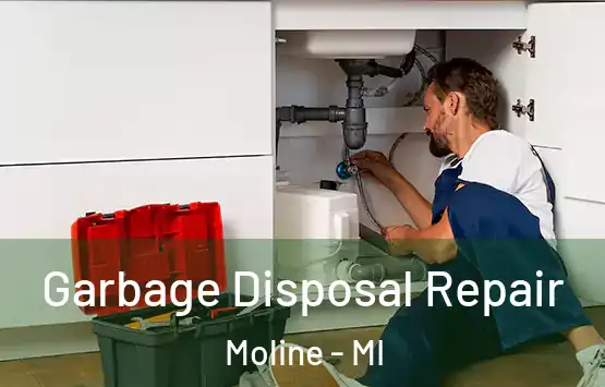  Garbage Disposal Repair Moline - MI