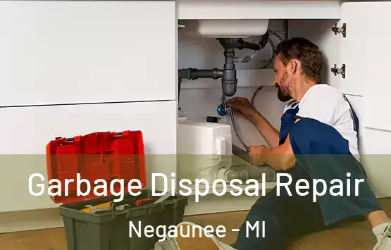  Garbage Disposal Repair Negaunee - MI