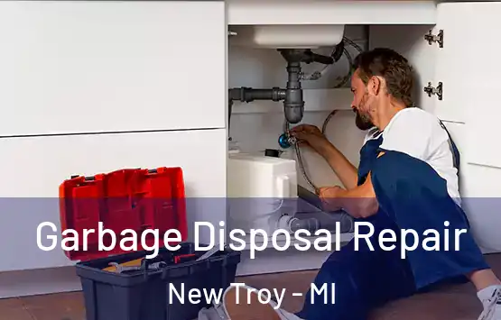  Garbage Disposal Repair New Troy - MI