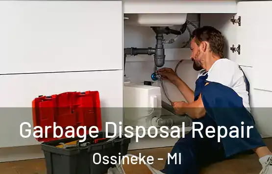  Garbage Disposal Repair Ossineke - MI