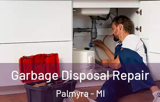  Garbage Disposal Repair Palmyra - MI