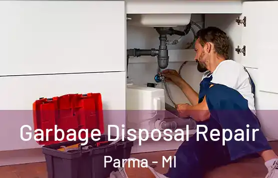  Garbage Disposal Repair Parma - MI