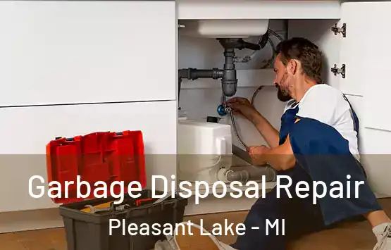 Garbage Disposal Repair Pleasant Lake - MI