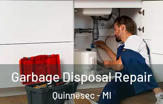  Garbage Disposal Repair Quinnesec - MI
