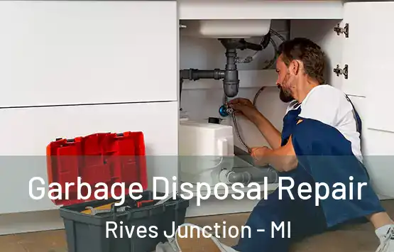  Garbage Disposal Repair Rives Junction - MI