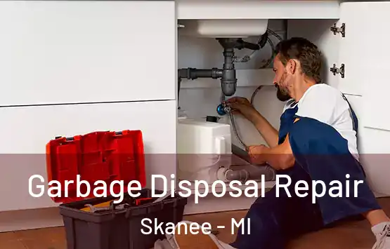  Garbage Disposal Repair Skanee - MI