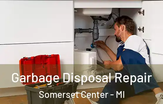  Garbage Disposal Repair Somerset Center - MI