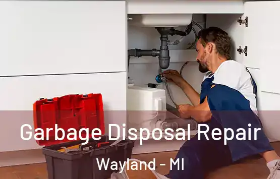  Garbage Disposal Repair Wayland - MI