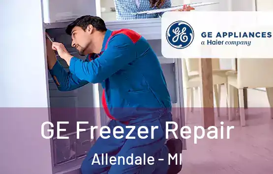  GE Freezer Repair Allendale - MI
