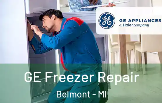  GE Freezer Repair Belmont - MI