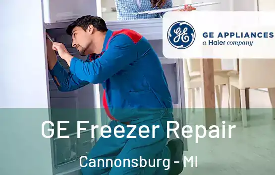  GE Freezer Repair Cannonsburg - MI