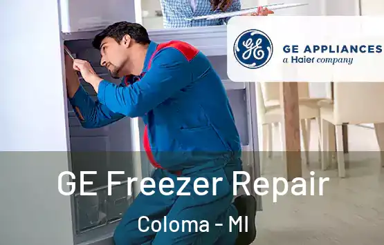  GE Freezer Repair Coloma - MI