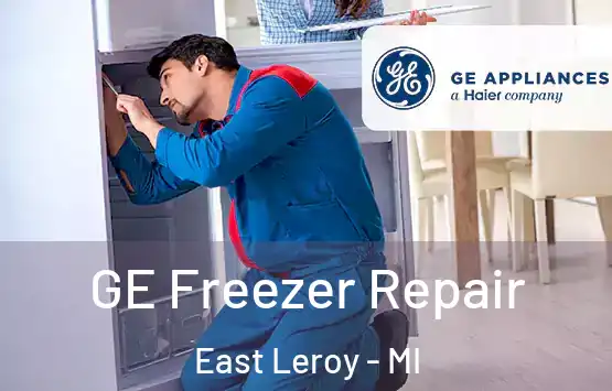  GE Freezer Repair East Leroy - MI