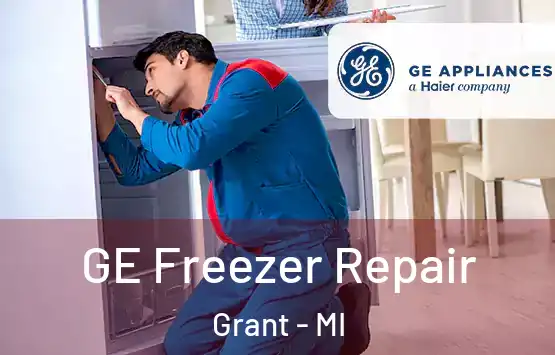  GE Freezer Repair Grant - MI