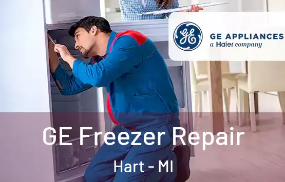  GE Freezer Repair Hart - MI
