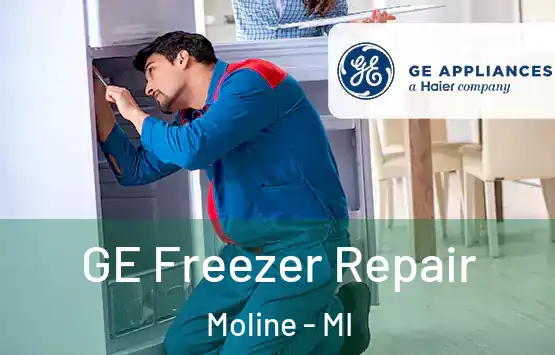  GE Freezer Repair Moline - MI