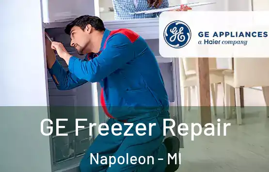 GE Freezer Repair Napoleon - MI