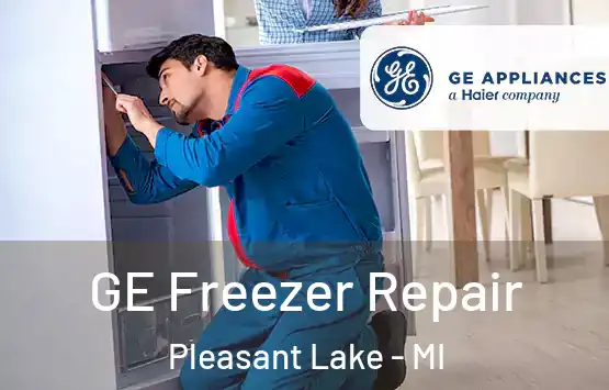  GE Freezer Repair Pleasant Lake - MI