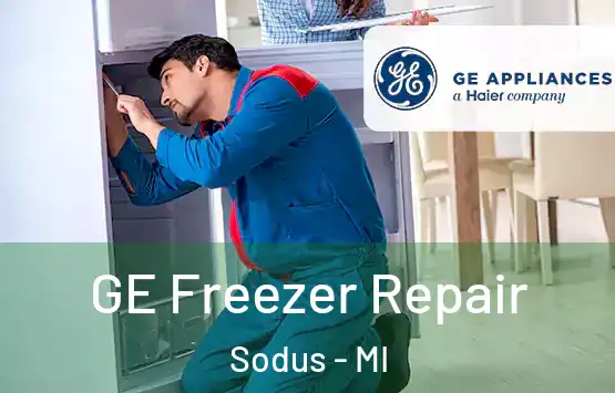  GE Freezer Repair Sodus - MI