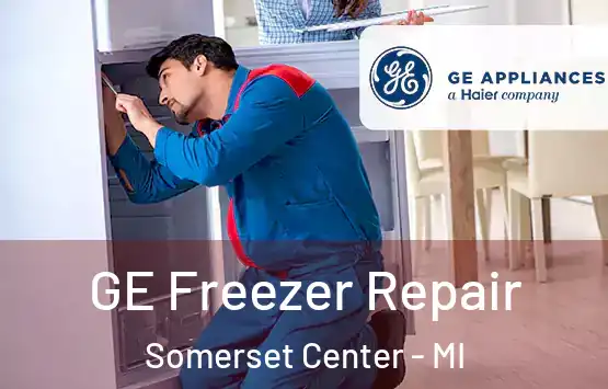  GE Freezer Repair Somerset Center - MI