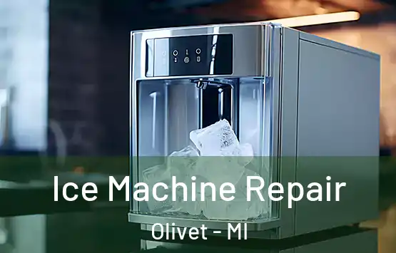  Ice Machine Repair Olivet - MI