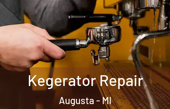  Kegerator Repair Augusta - MI