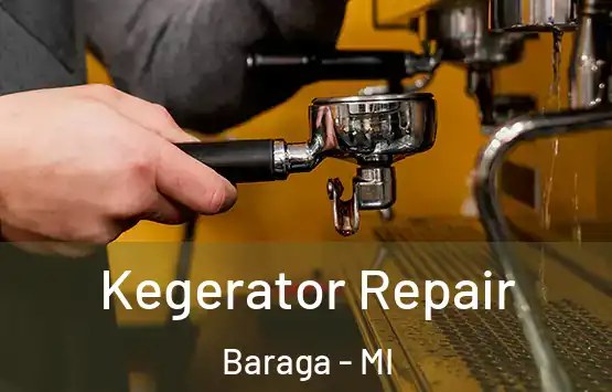  Kegerator Repair Baraga - MI