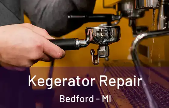  Kegerator Repair Bedford - MI