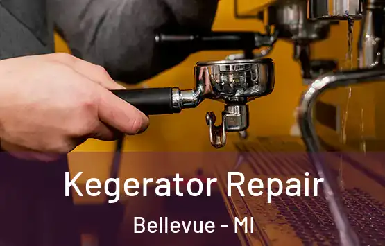  Kegerator Repair Bellevue - MI