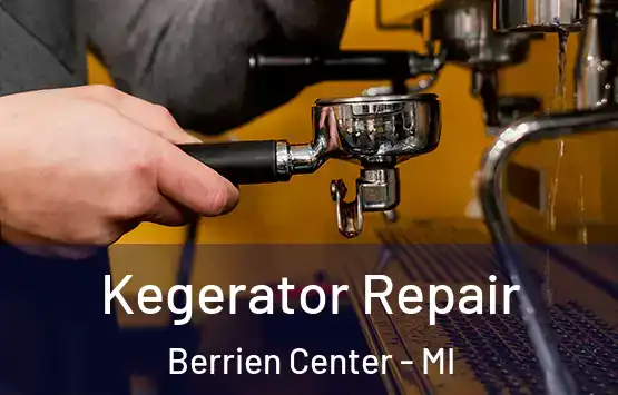  Kegerator Repair Berrien Center - MI