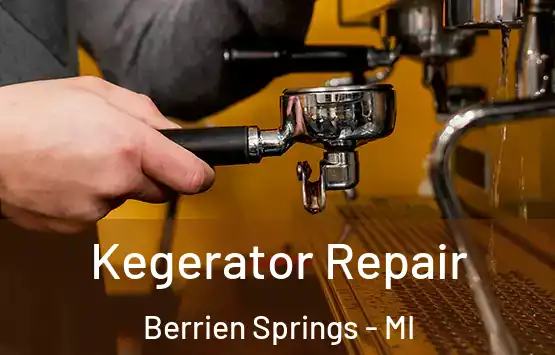  Kegerator Repair Berrien Springs - MI
