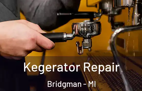  Kegerator Repair Bridgman - MI