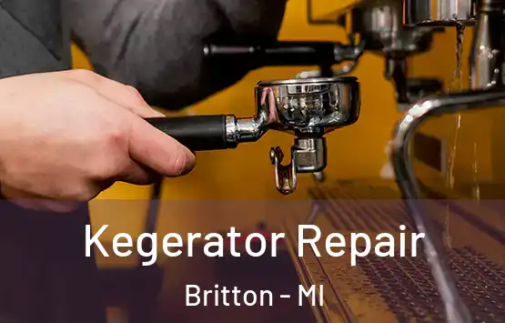  Kegerator Repair Britton - MI