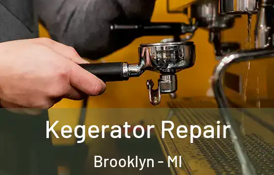  Kegerator Repair Brooklyn - MI