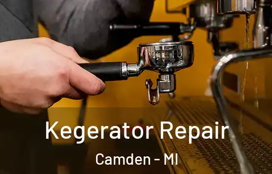  Kegerator Repair Camden - MI