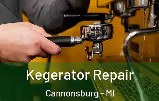  Kegerator Repair Cannonsburg - MI