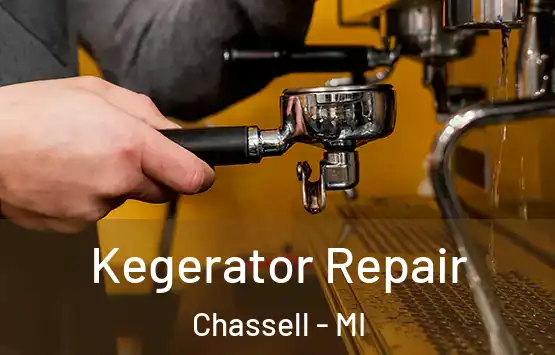  Kegerator Repair Chassell - MI