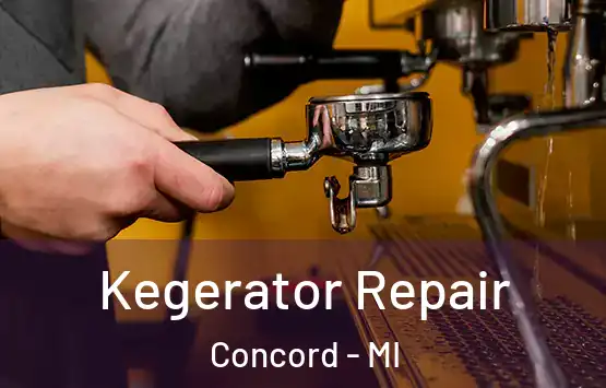  Kegerator Repair Concord - MI