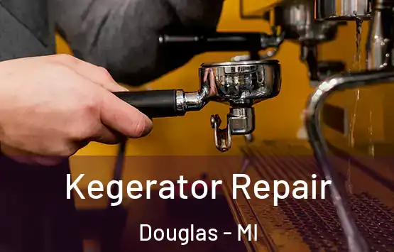  Kegerator Repair Douglas - MI